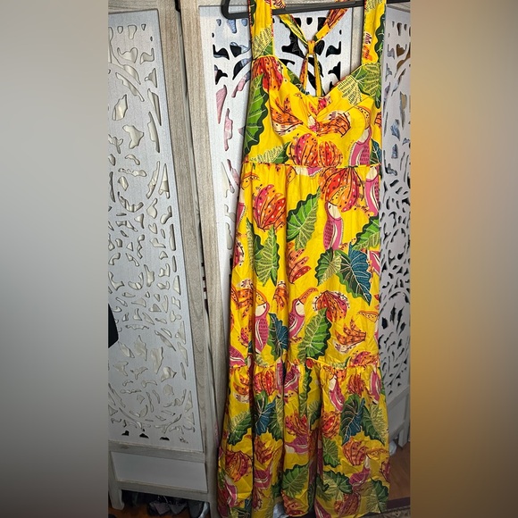 Farm Rio Yellow Beaks & Bananas Maxi Dress - Picture 4 of 7